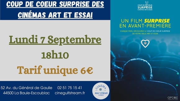 Coup de Cœur surprise des Cinémas Art et Essai