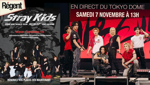 STRAY KIDS // WORLD TOUR LIVE