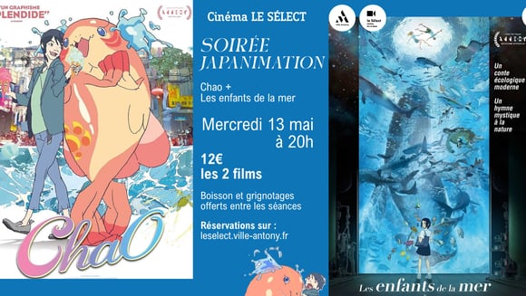 Soirée JAPANIMATION