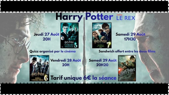 Fin de la Saga Harry Potter