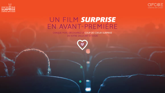 Coup de coeur surprise ! Laissez-vous tenter...