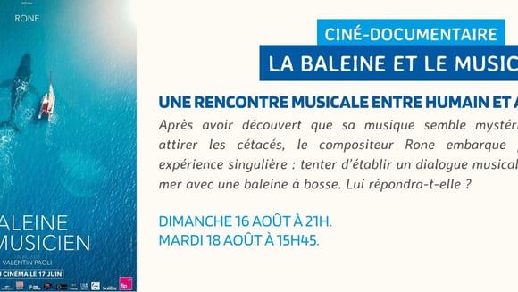 Ciné-doc: "La baleine et le musicien"