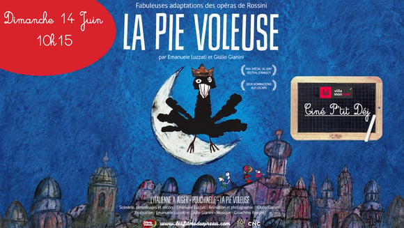 LA PIE VOLEUSE