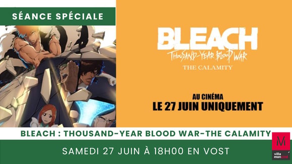 BLEACH : THOUSAND-YEAR BLOOD WAR - THE CALAMITY