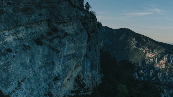 Viva Verdon