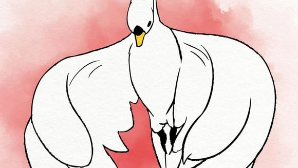 le cygne et l'enfant