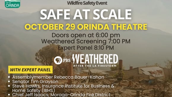 SAFE AT SCALE - WEATHERED