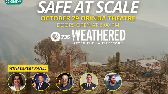 SAFE AT SCALE - WEATHERED