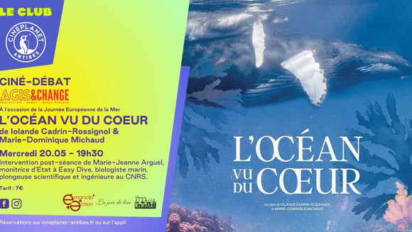 L'océan vu du coeur