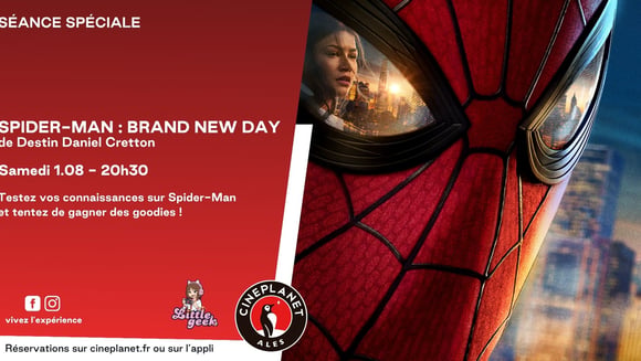 Spider-man : Brand new day