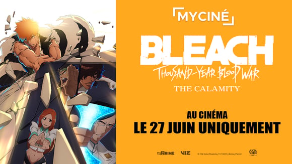 Bleach : Thousand Year Blood War - The Calamity