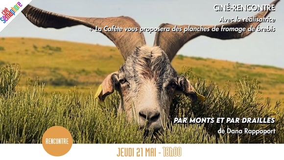 Ciné-rencontre 