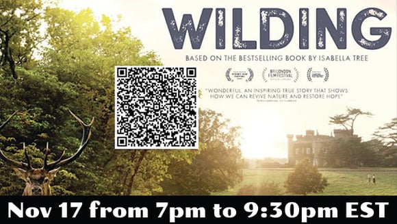 WILDING | Special Screening & Panel Discussion | CAN Monthly Film Festival