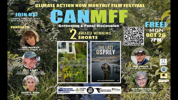 CANMFF: BECOMING WILD | THE LAST OSPREY