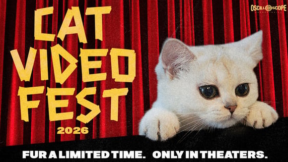 CAT VIDEO FEST 2026