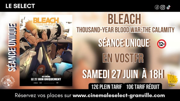 SÉANCE SPÉCIALE: BLEACH,Thousand-Year Blood War-The Calamity