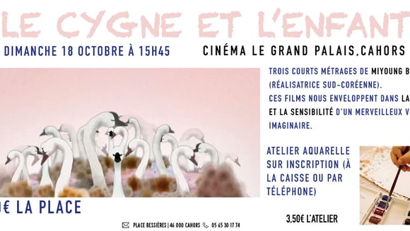 Mon P'tit Ciné - Le Cygne et l'Enfant