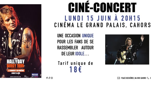 Johnny Hallyday BERCY 95 - Lorada Tour