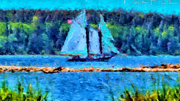 Artist of the Month: David Plath