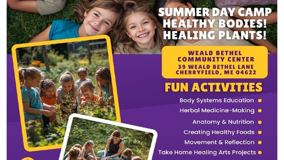 Summer Day Camp: Healthy Bodies, Healing Plants