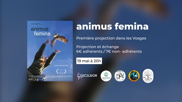 Animus Femina - Projection et échange