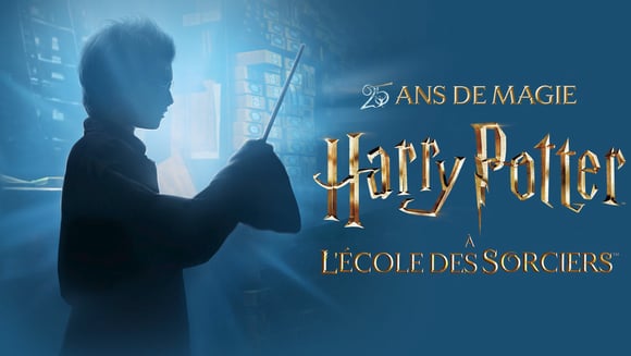 Rétrospective : HARRY POTTER - 25 ans de magie