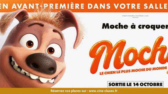 Avant-première - Mochy 🧡
