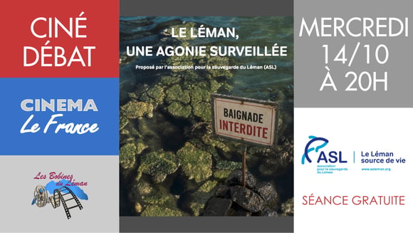 Le Léman, une agonie surveillée