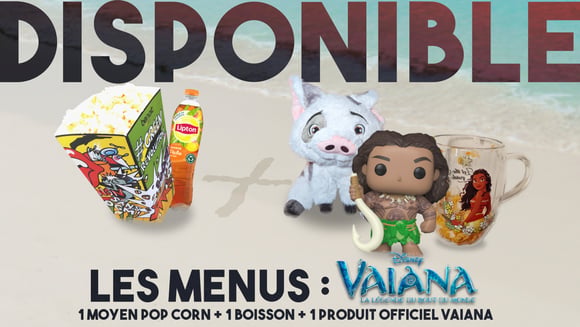 Prolongez l'aventure avec nos produits collectors exclusifs inspirés de l'univers de Vaiana !