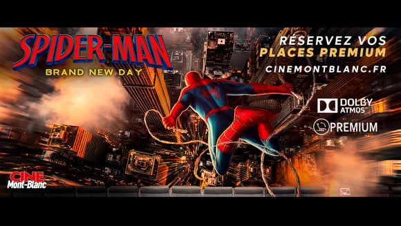 Spider-Man : Brand New Day