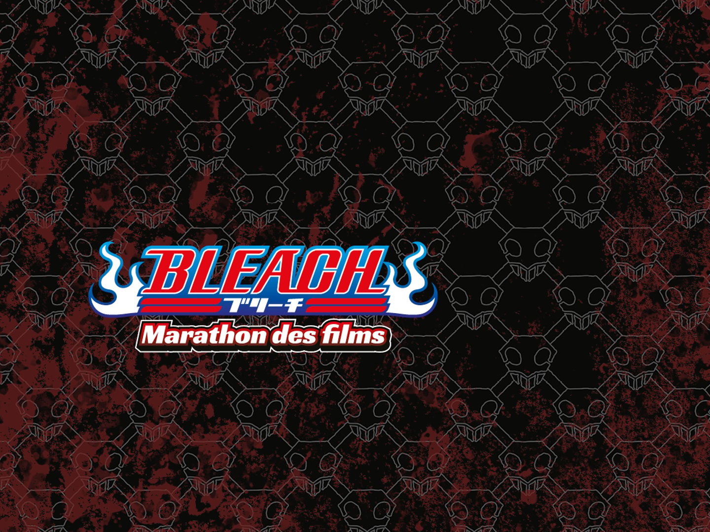 Bleach - Le marathon VO