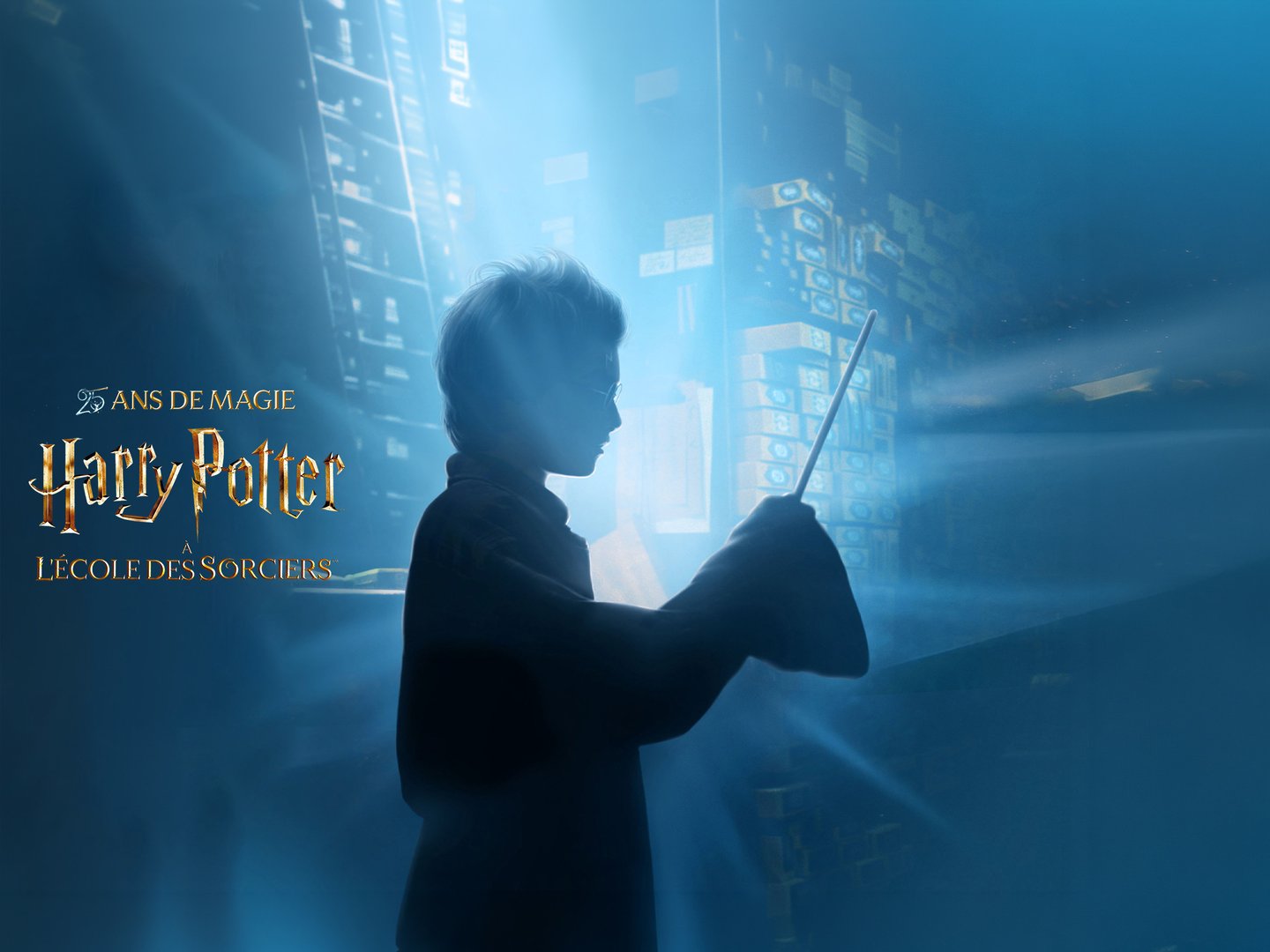 25 ans HARRY POTTER A L'ECOLE DES SORCIERS - CGR Le Mans Le Colisée