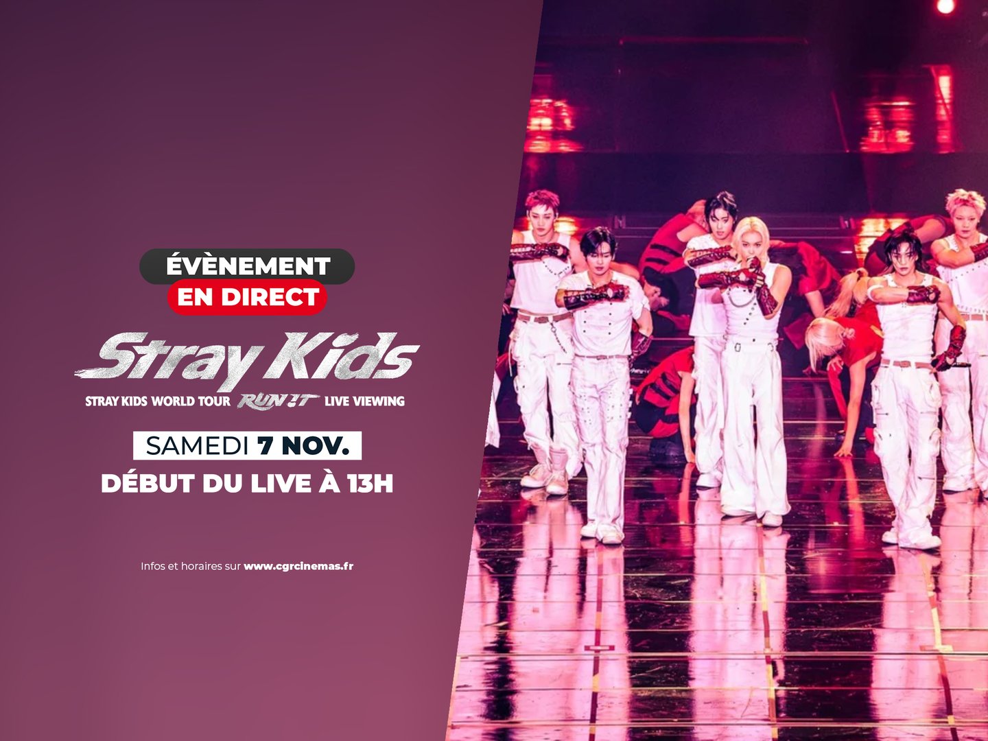 đ€ Stray Kids World Tour âRUN ITâ Live Viewing