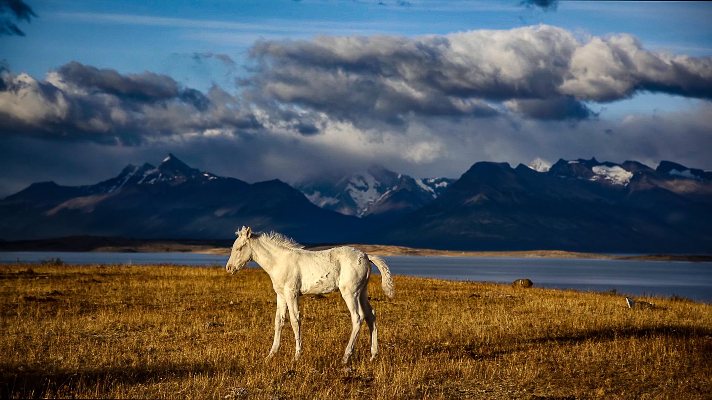 CONNAISSANCE DU MONDE : La Patagonie - À la lisière du monde