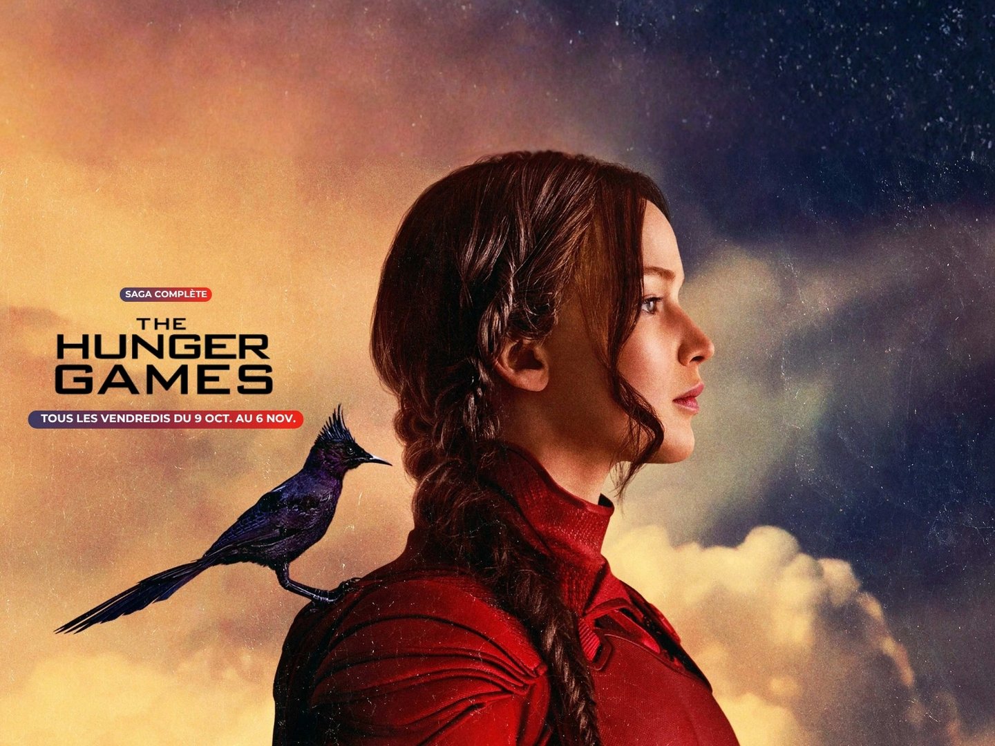 Séances spéciale : SAGA HUNGER GAMES