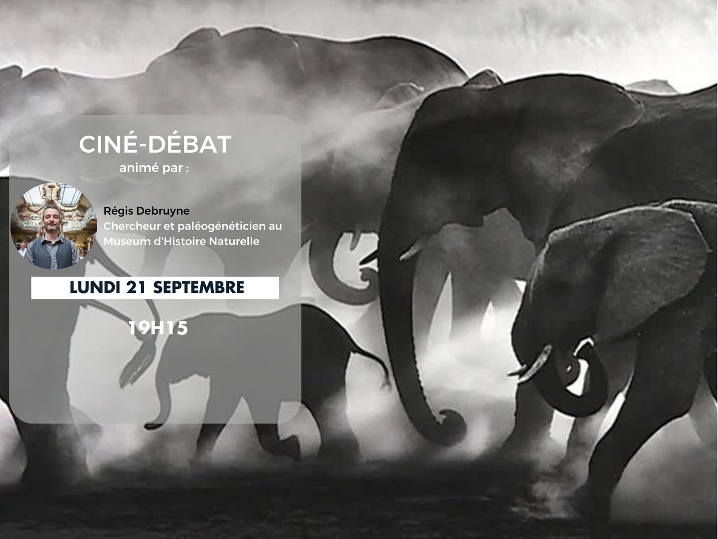 Ciné-Débat : Ghost Elephants
