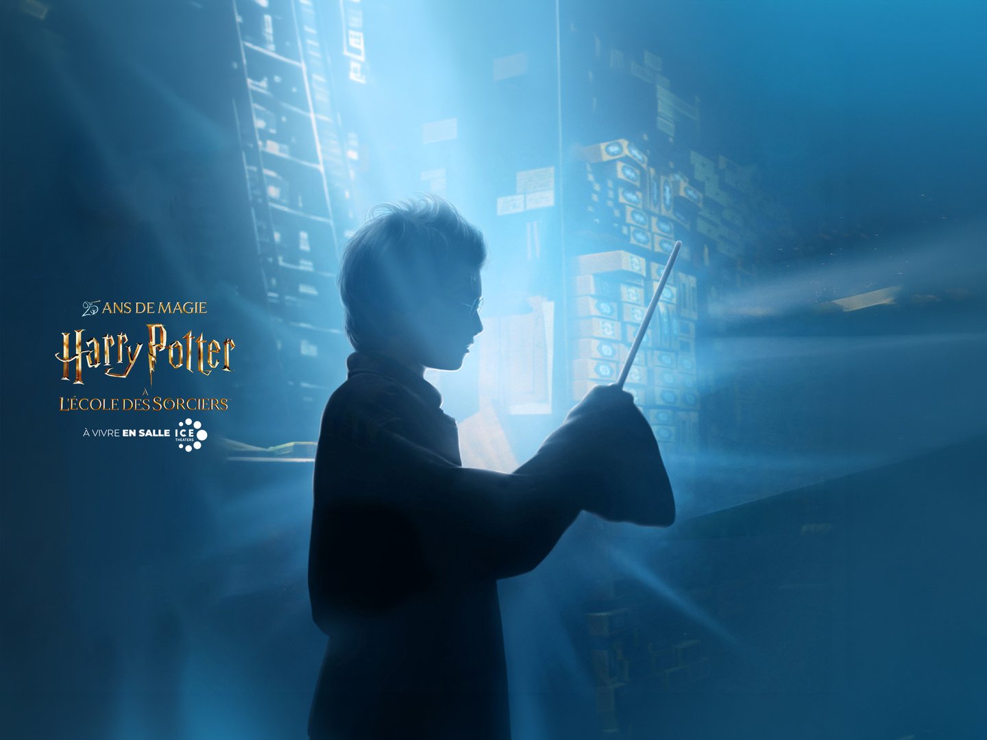 HARRY POTTER À L'ECOLE DES SORCIERS : en ICE !