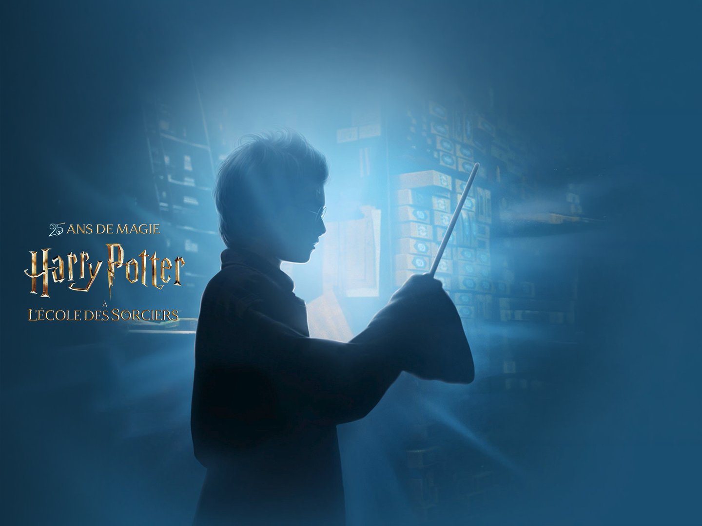 🪄 Harry Potter à l'école des Sorciers