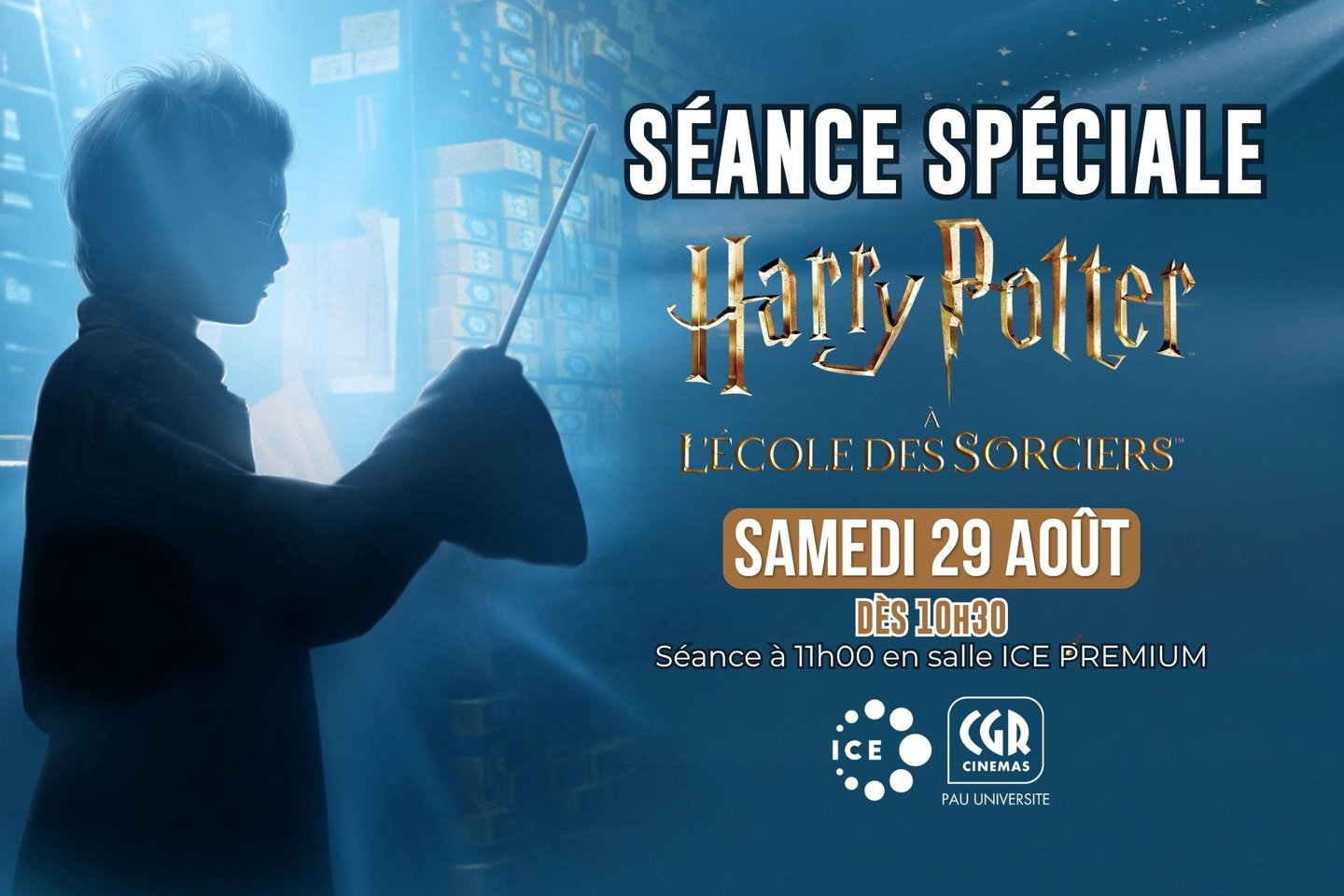 Bienvenue à Poudlard - Séance Spéciale - "Harry Potter à l'École des Sorciers"
