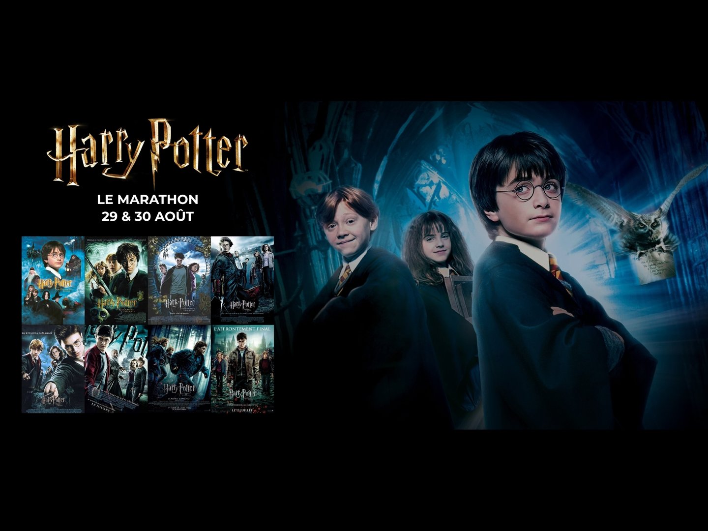 Harry Potter: Marathon des films