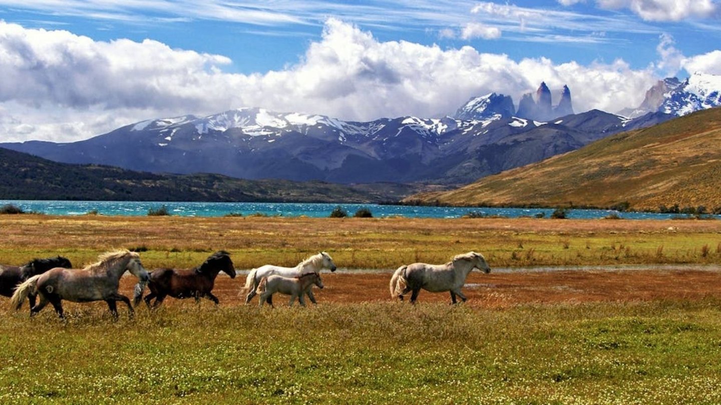 CONNAISSANCE DU MONDE : LA PATAGONIE