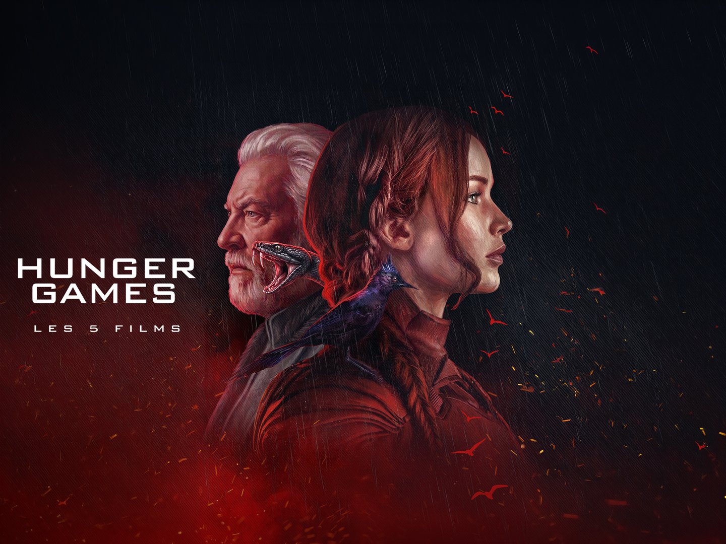 La saga HUNGER GAMES de retour au cinéma !