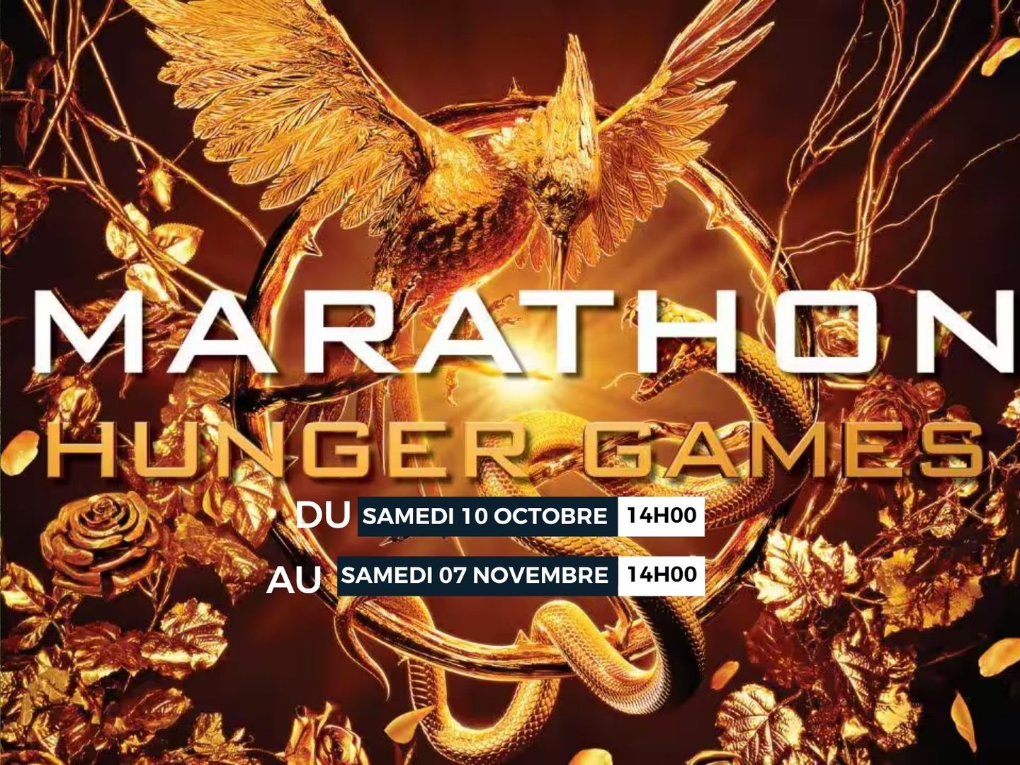 MARATHON : HUNGER GAMES