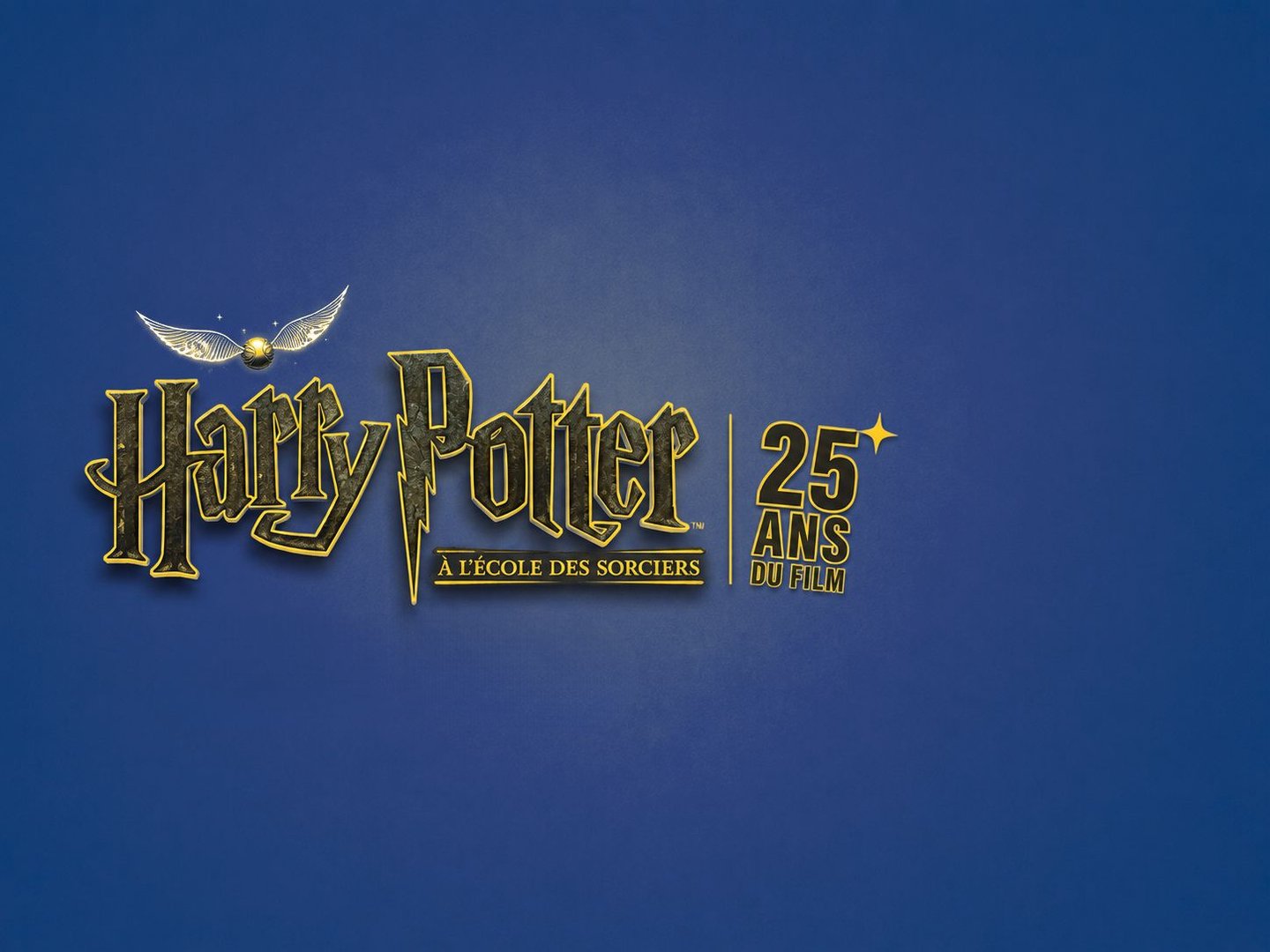 Harry Potter - À l'école des sorciers en ICE l Séances spéciales