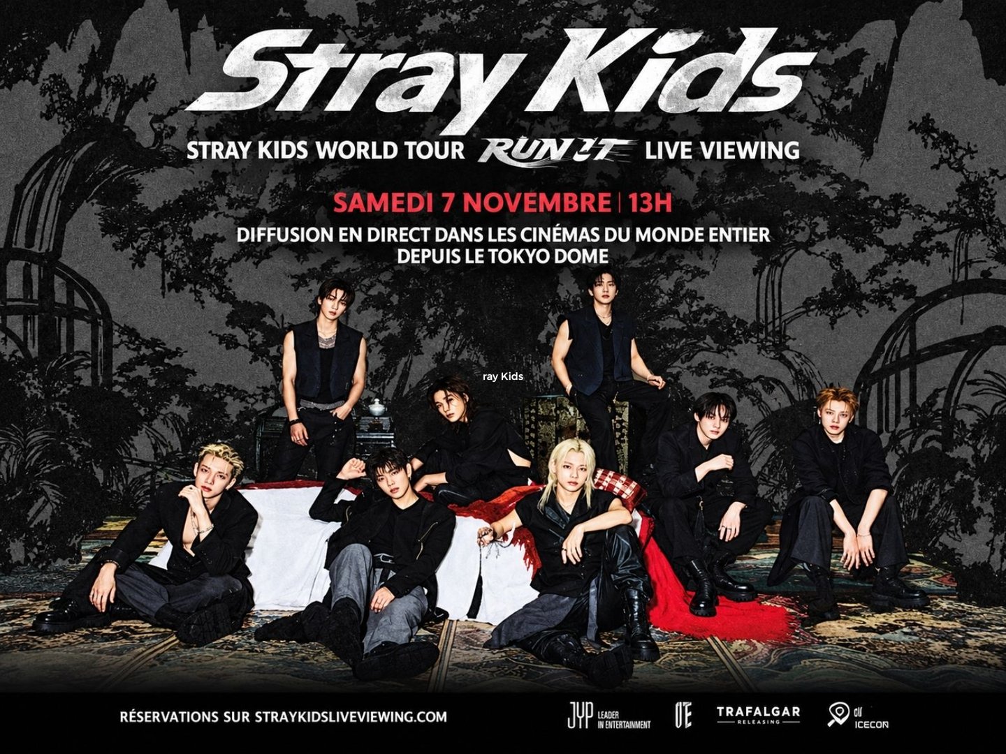 Stray Kids World Tour <RUN IT> LIVE VIEWING