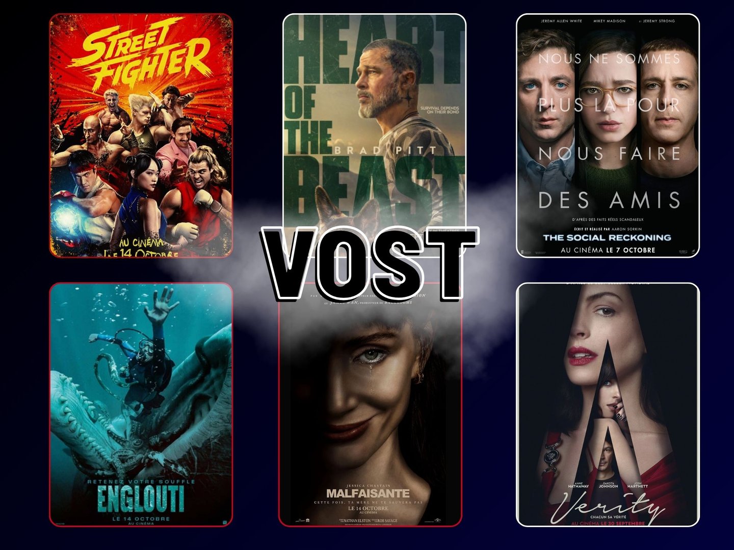 đ VOST