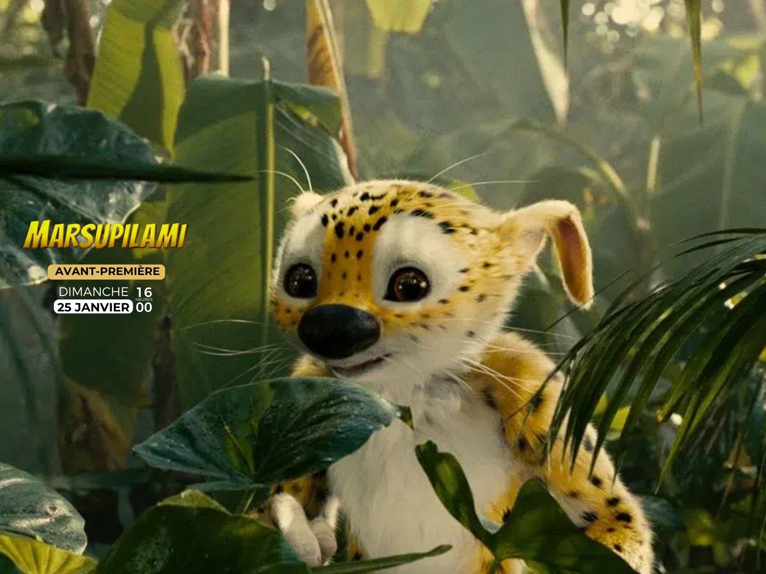 Marsupilami