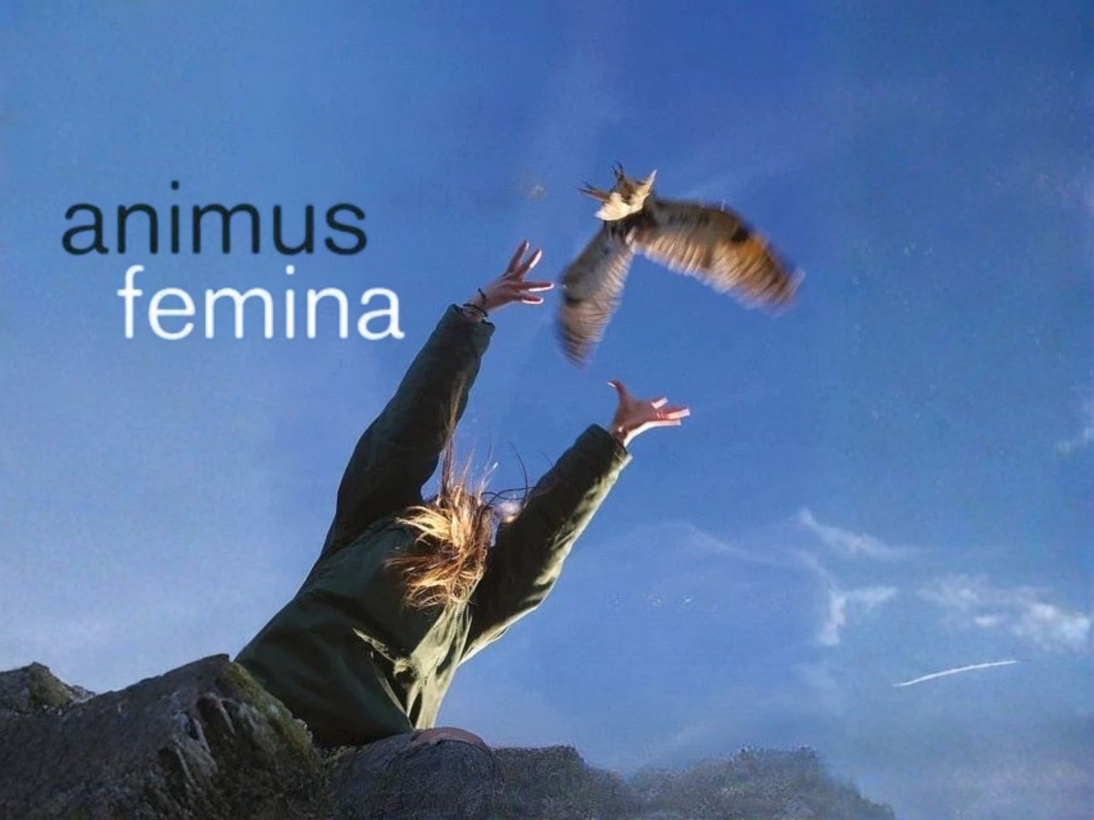 Ciné Débat : Animus Femina