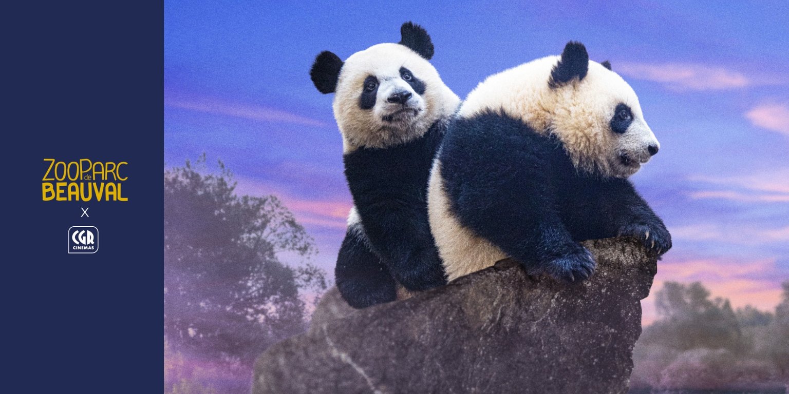 Grand jeu-concours ZooParc de Beauval