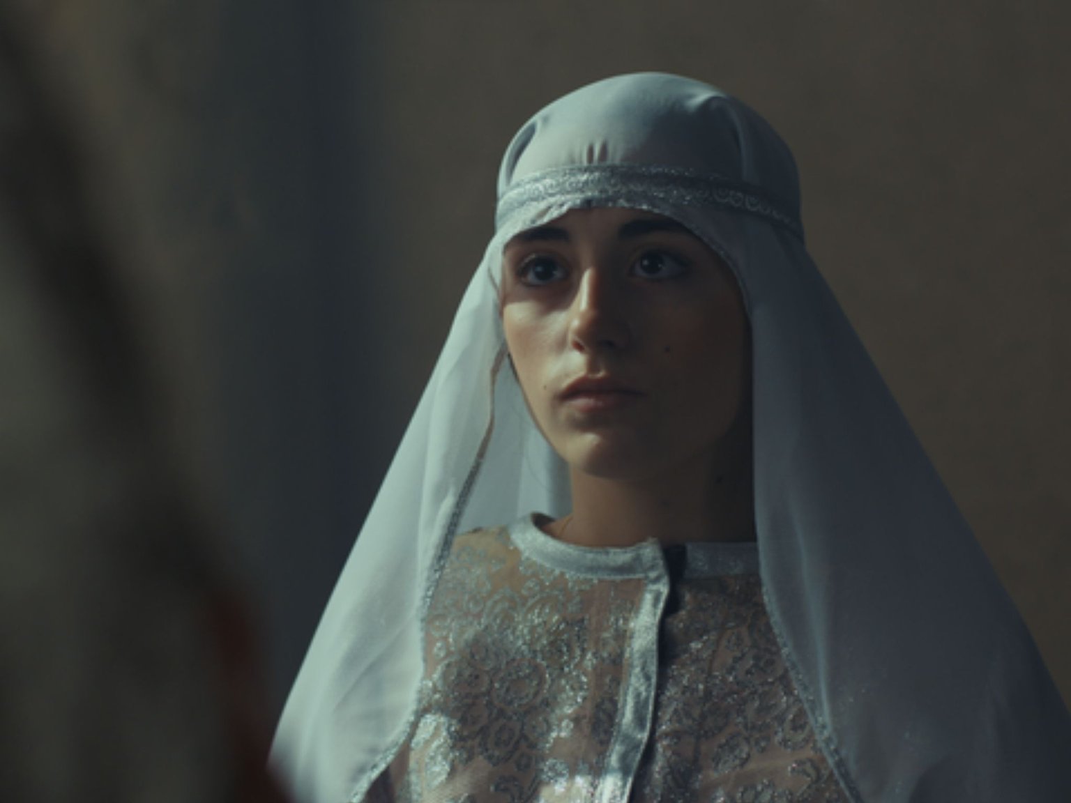 La Comtesse aux 5 maris